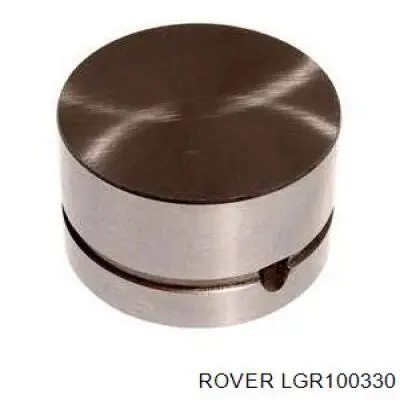 Гидрокомпенсатор LGR100330 Rover