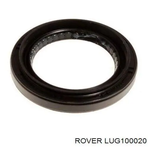 LUG100020 Rover 