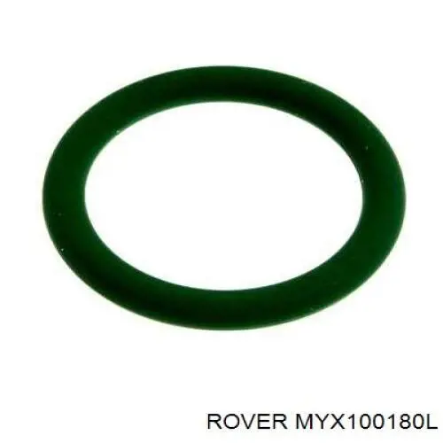 MYX100180L Rover 