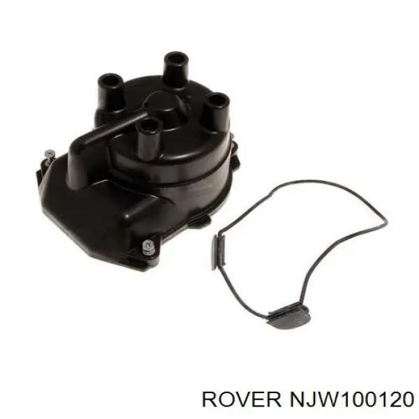  NJW100120 Rover