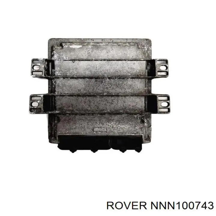 NNN100743 Rover Мозги двигателя