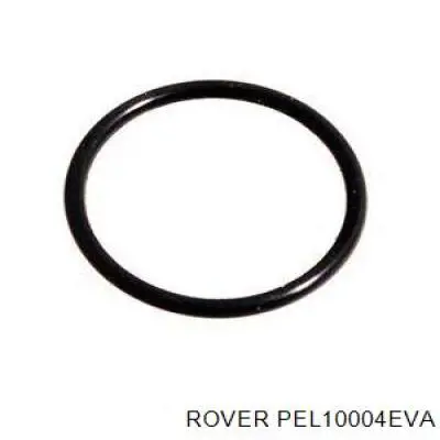 Термостат PEL10004EVA Rover