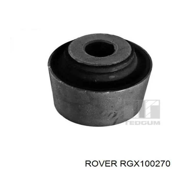  RGX100270 Rover