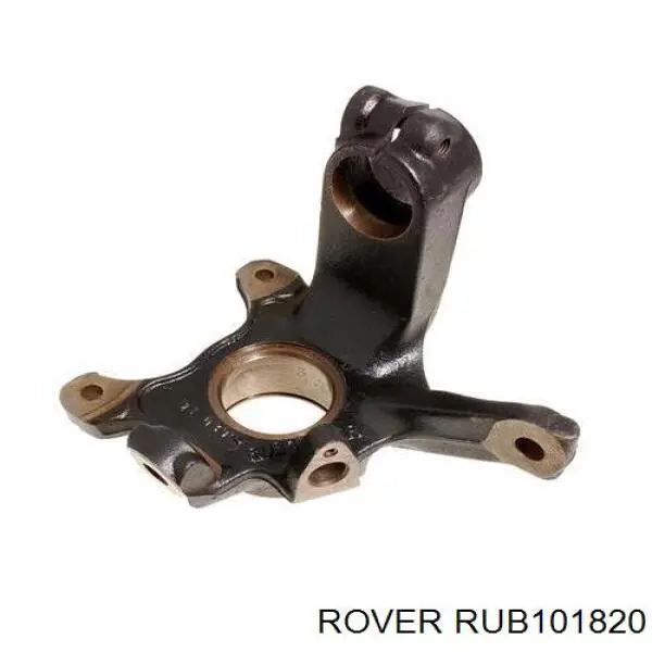 RUB101300 Rover цапфа (поворотный кулак передний правый)