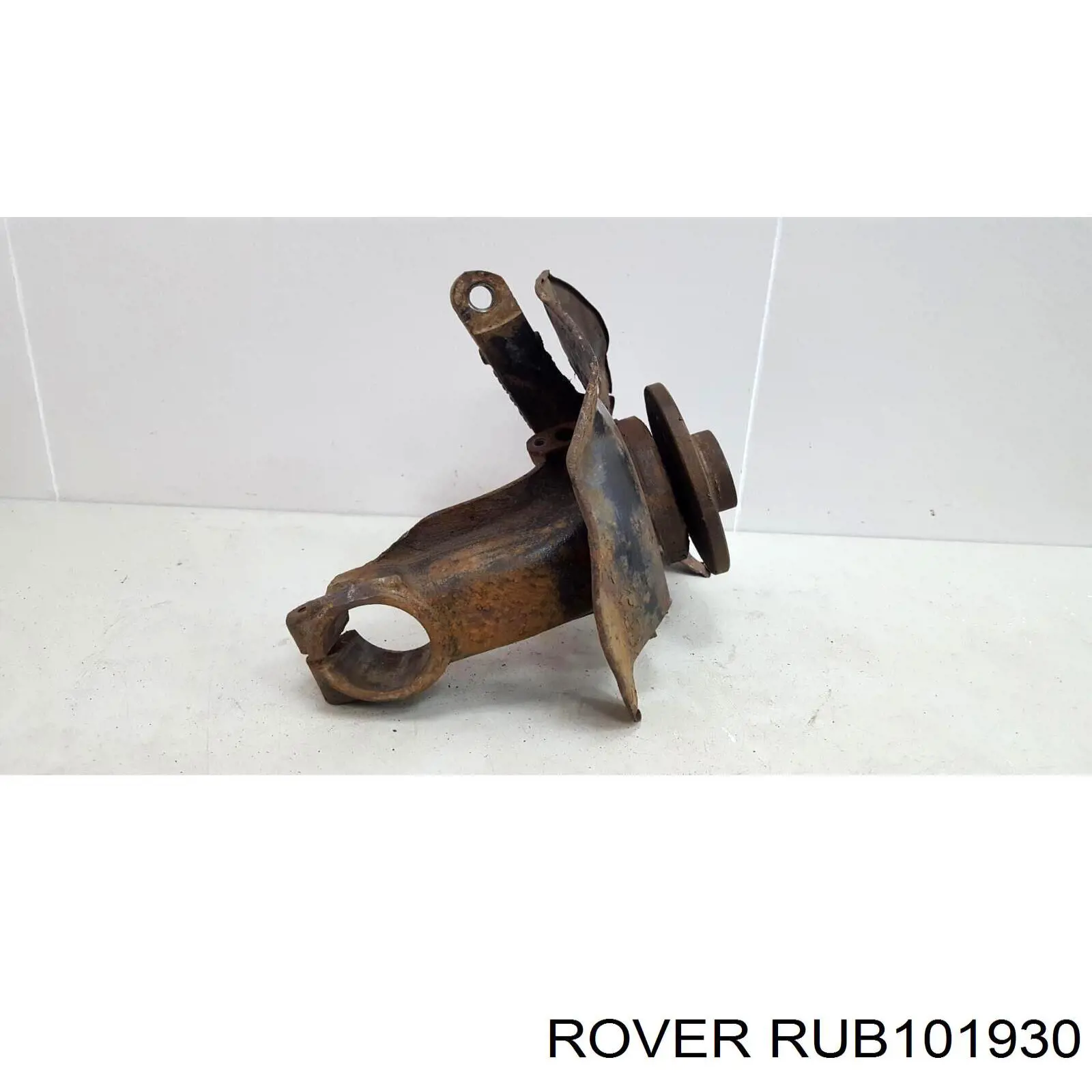 Цапфа (поворотный кулак) передний левый Rover RUB101930 цена, от 33.82 USD
