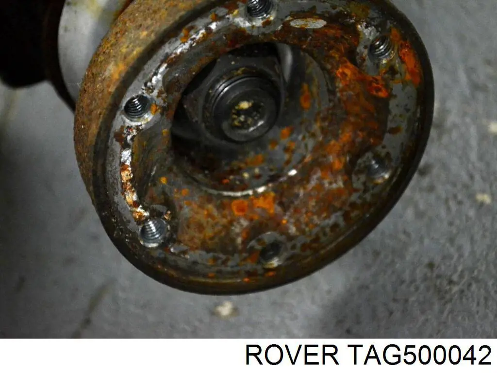 Купить TAG500042 Rover 