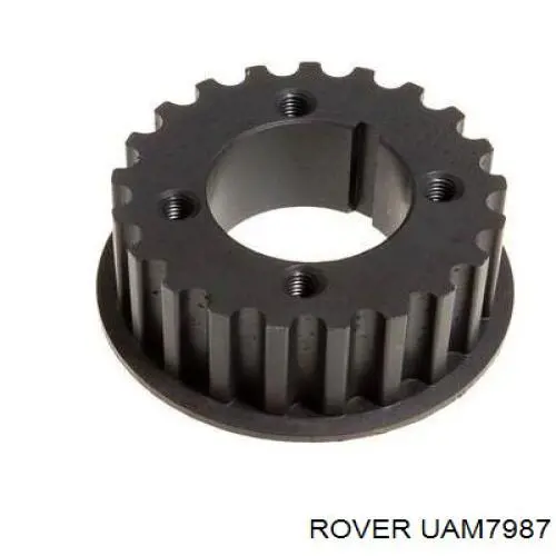  UAM7987 Rover