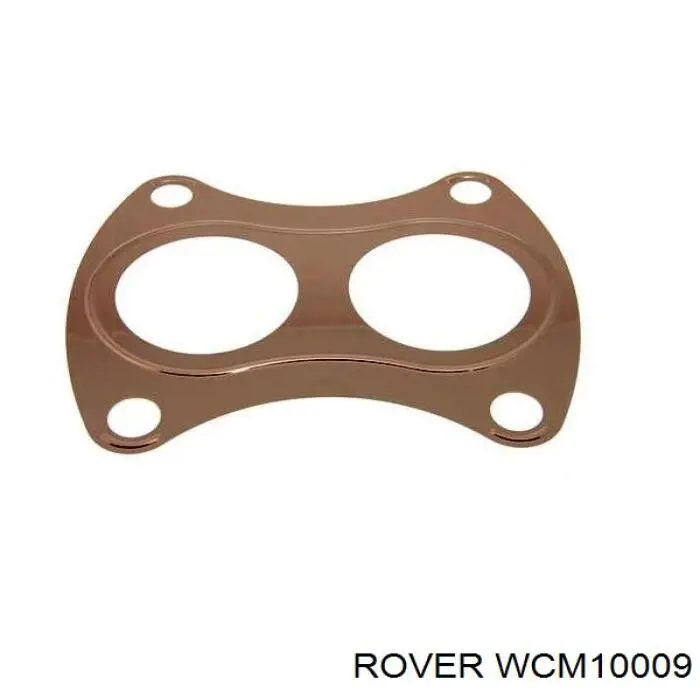  WCM10009 Rover