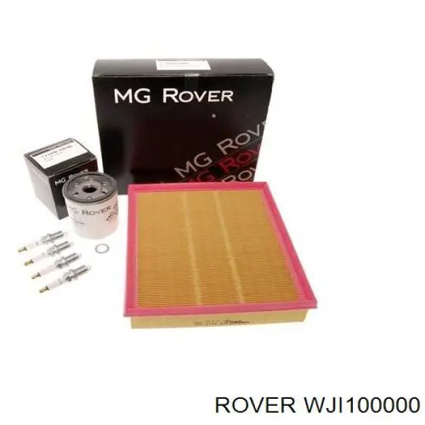 WJI100000 Rover Фильтр топлива