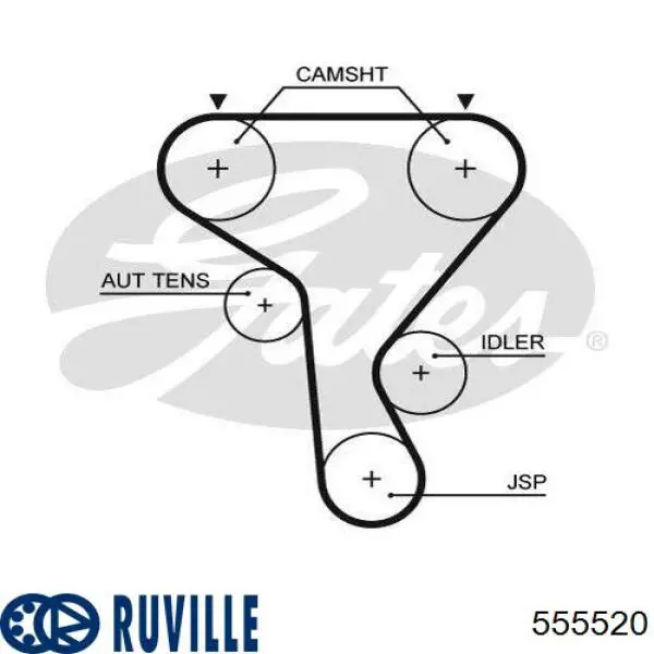 Ремень ГРМ 555520 Ruville