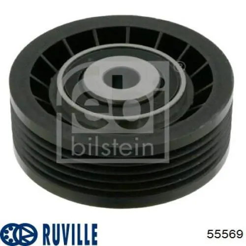 55569 Ruville