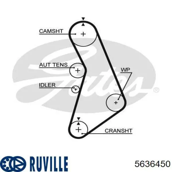 5636450 Ruville Комплект ремня ГРМ