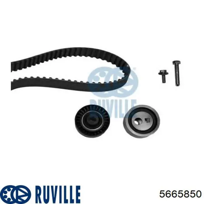 5665850 Ruville Комплект ремня ГРМ
