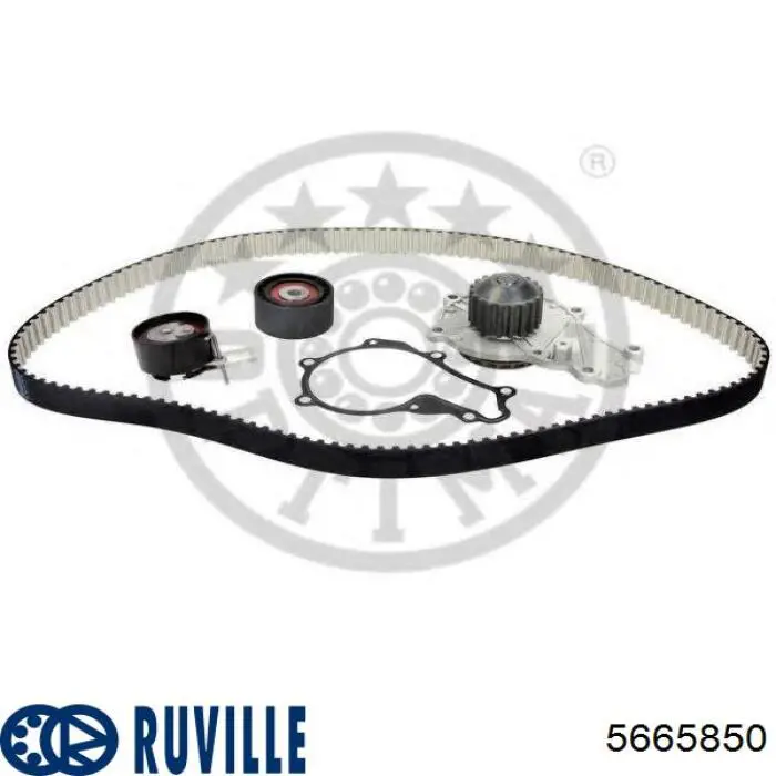 ГРМ ремни, комплект Ruville 5665850 цена, от 50.50 USD
