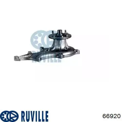 Помпа 66920 Ruville