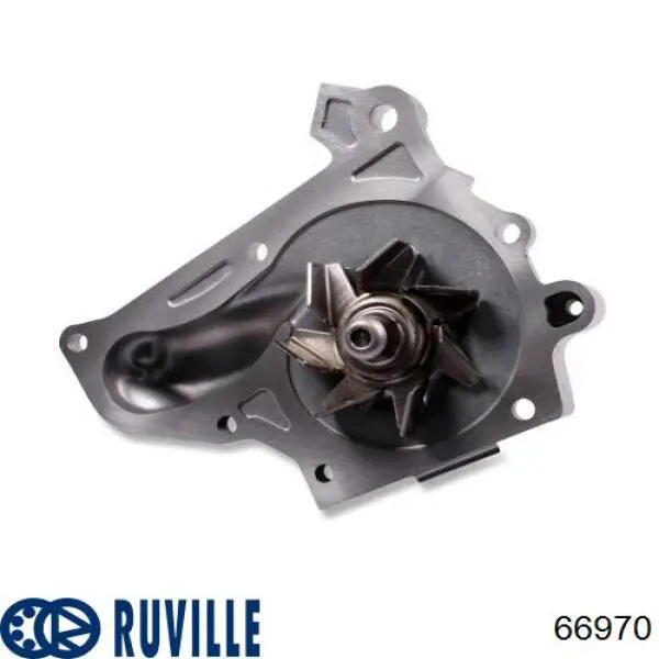 Помпа 66970 Ruville