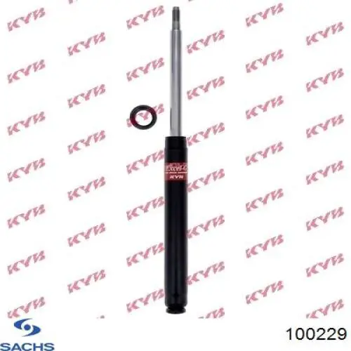 100229 Sachs