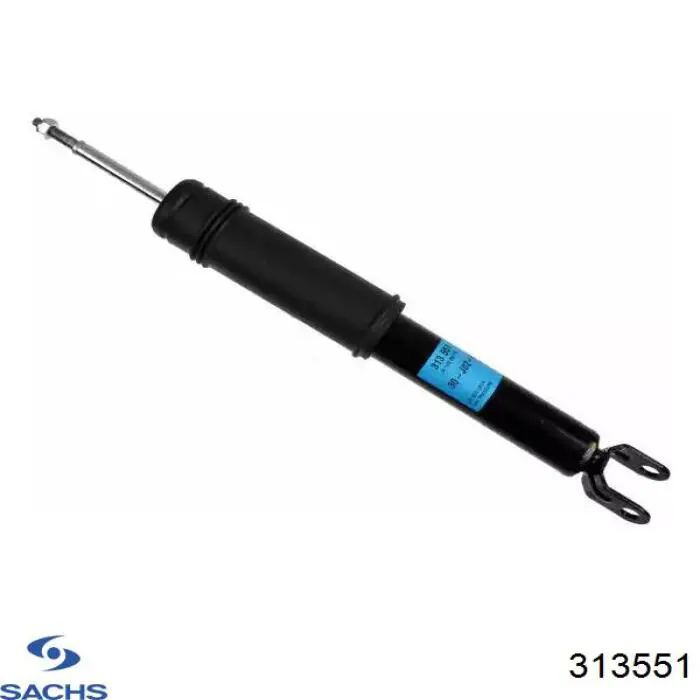 313551 Sachs