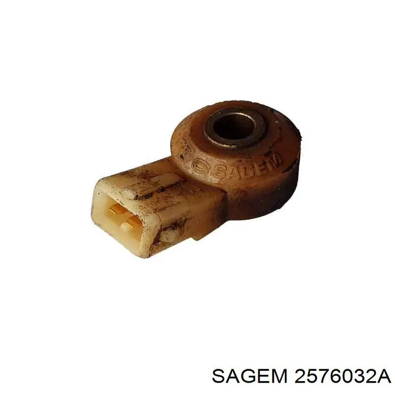 2576032A Sagem Датчик самовоспламенения