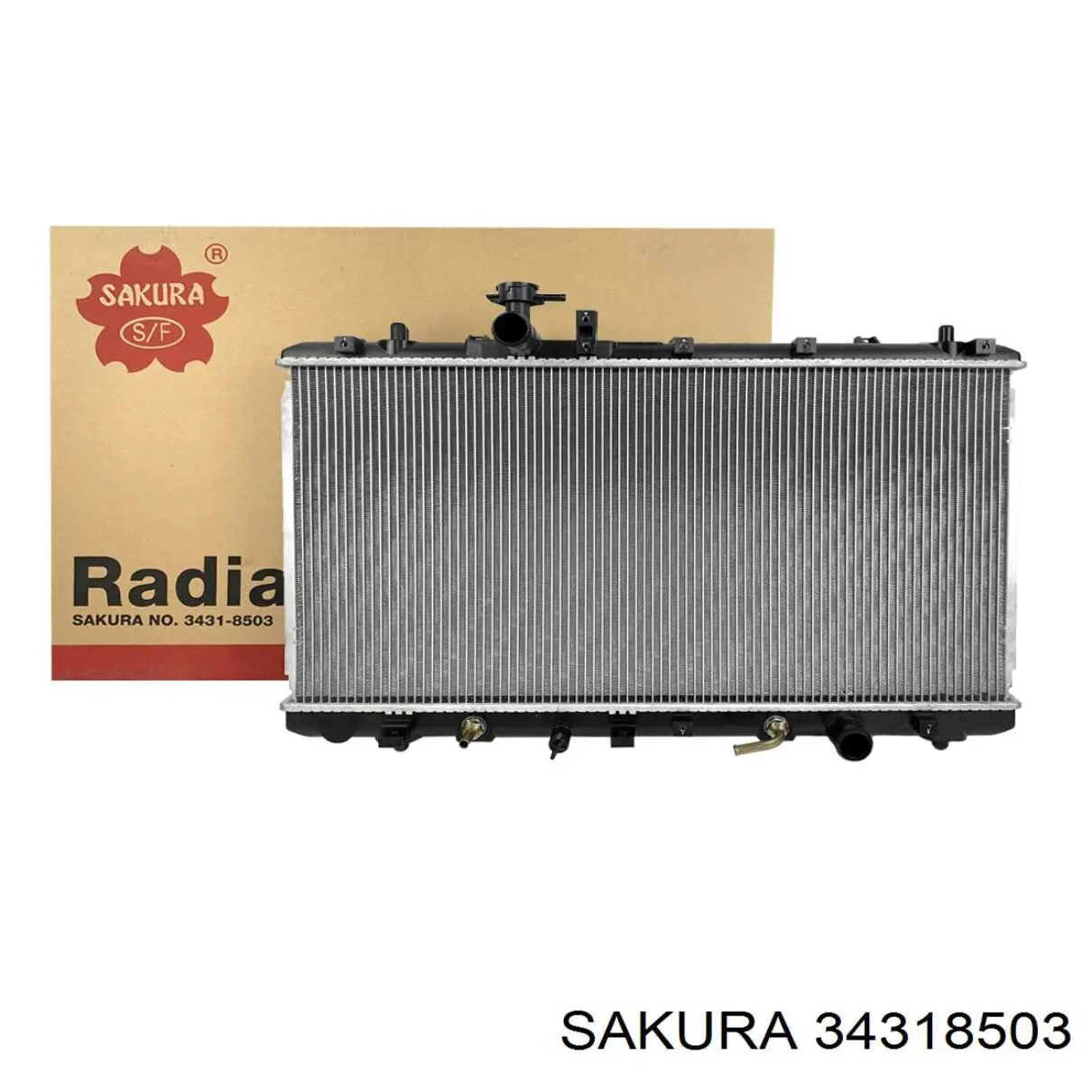 34318503 Sakura радиатор