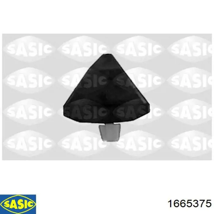1665375 Sasic