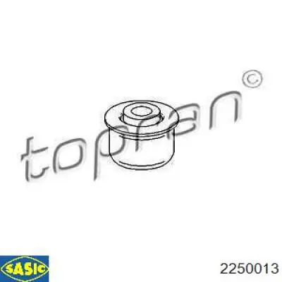 2250013 Sasic