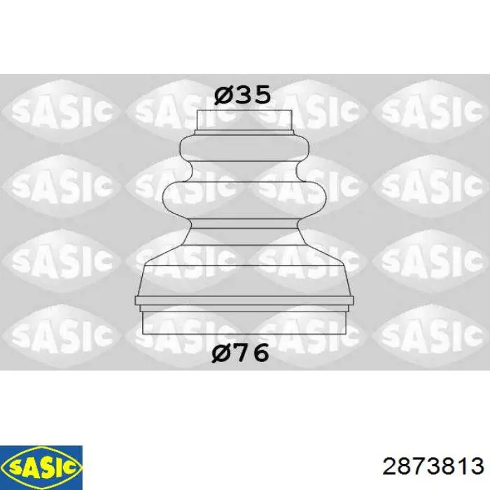 2873813 Sasic
