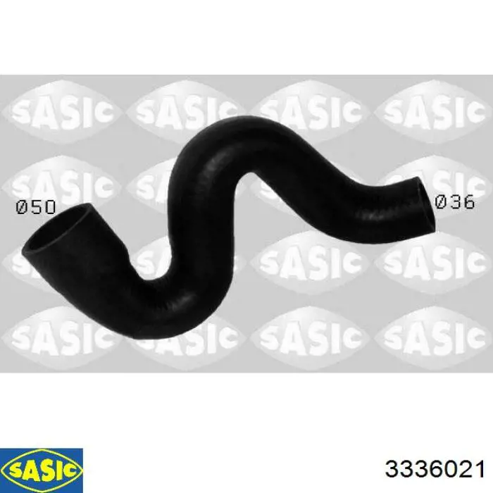3336021 Sasic