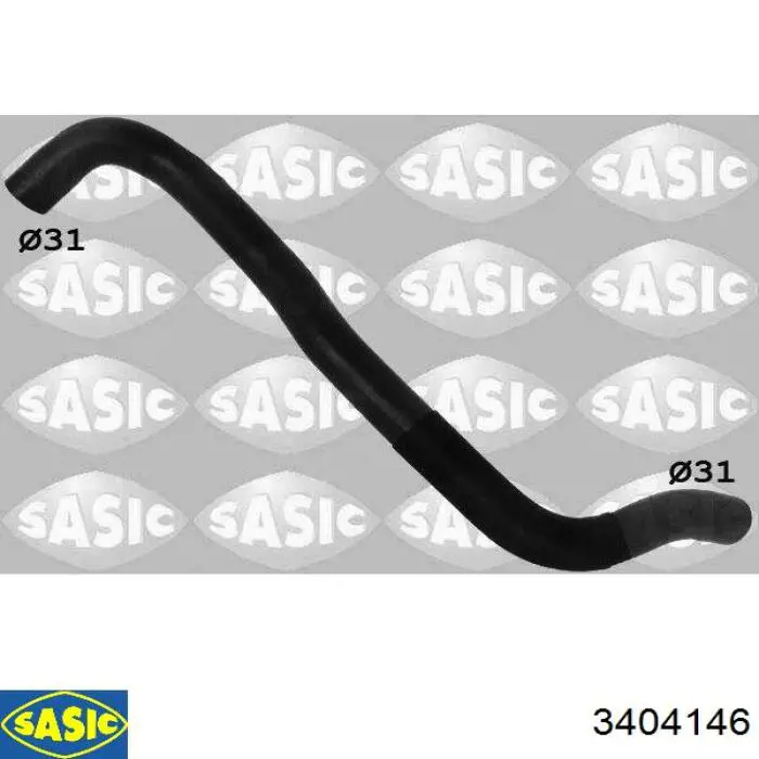 3404146 Sasic