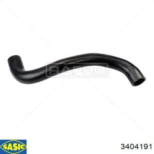 3404191 Sasic 