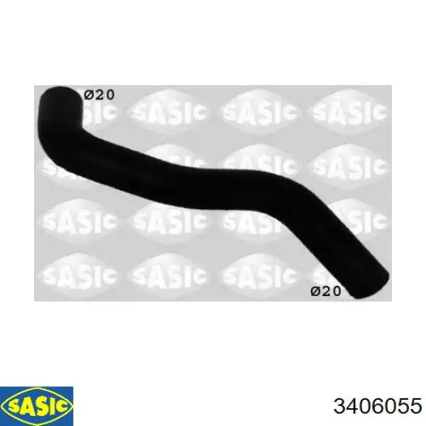 3406055 Sasic 