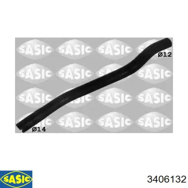 3406132 Sasic 