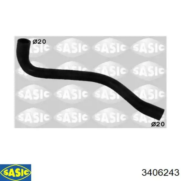 3406243 Sasic 