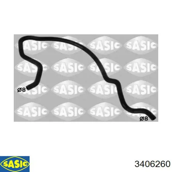 3406260 Sasic 