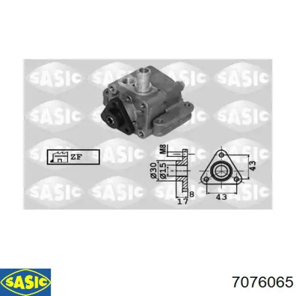 7076065 Sasic bomba da direção hidrâulica assistida