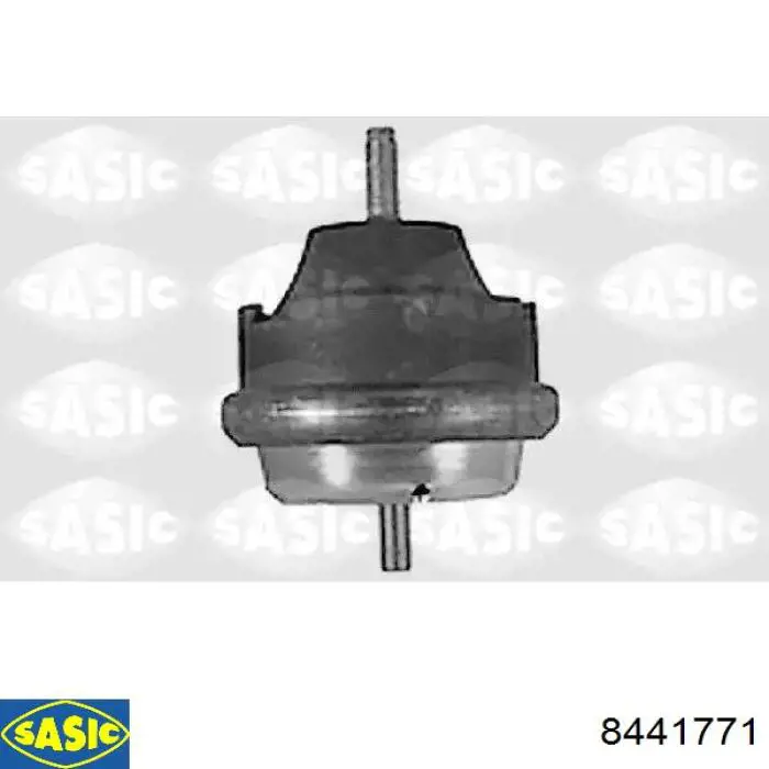 8441771 Sasic