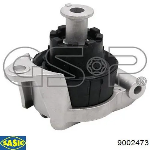 9002473 Sasic