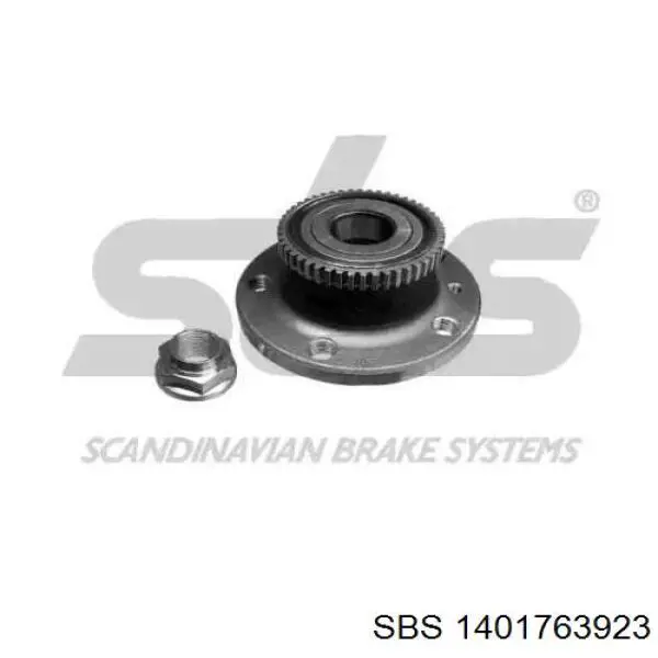 Подшипник задней ступицы 6025171137 Renault (RVI)