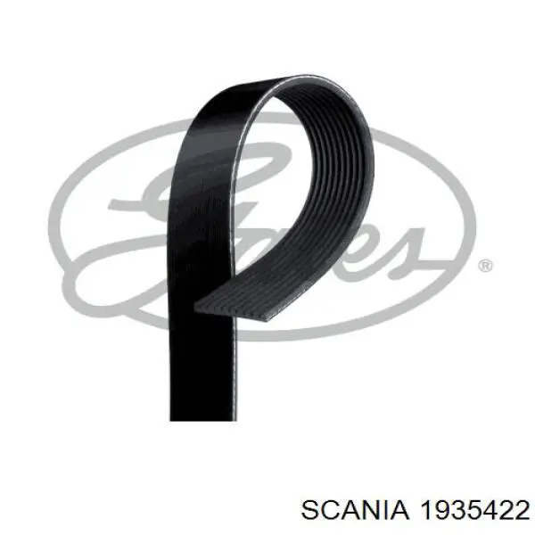Клиновый ремень Scania 1935422 цена, от 25.81 USD
