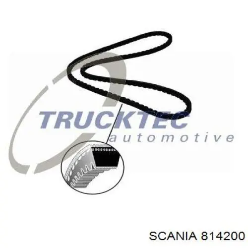 814200 Scania Поликлиновый ремень