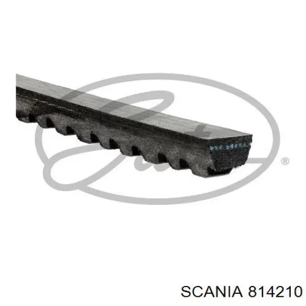 814210 Scania Поликлиновый ремень