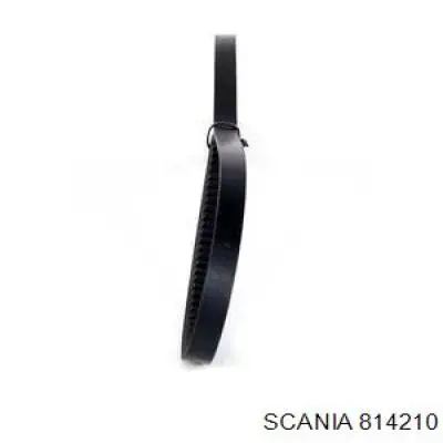 Клиновый ремень Scania 814210 цена, от 6.12 USD