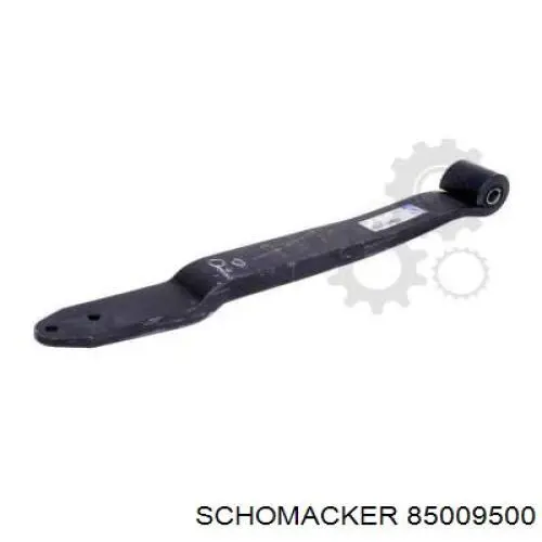 85009500S Schomacker 