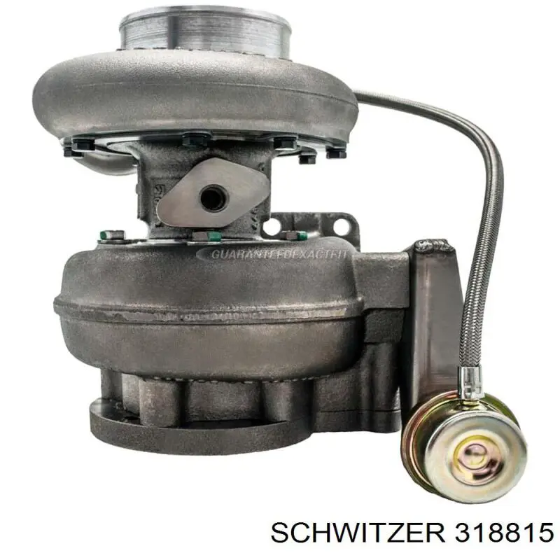  318815 Schwitzer