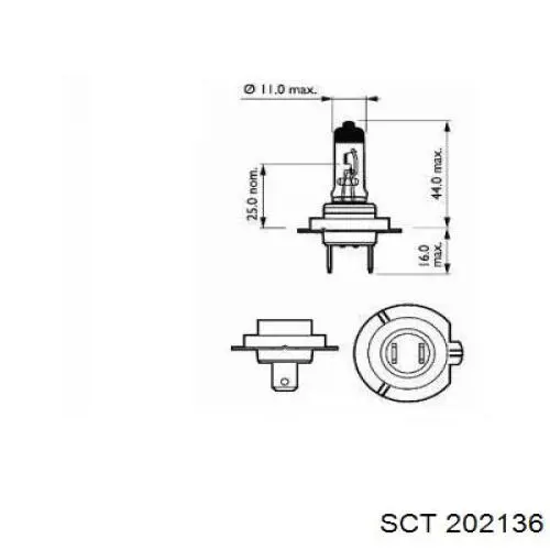 202136 SCT Лампочка дальнего света