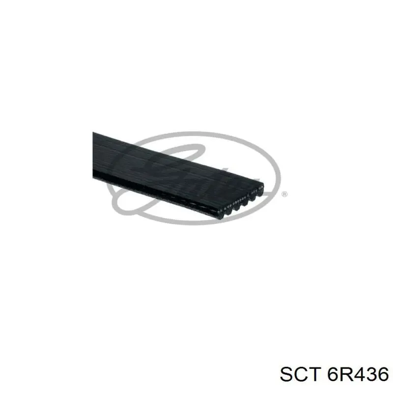 Клиновый ремень SCT 6R436 цена, от 10.87 USD