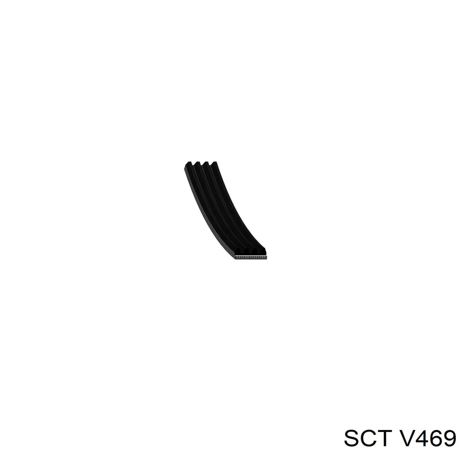 Correa trapezoidal V469 SCT