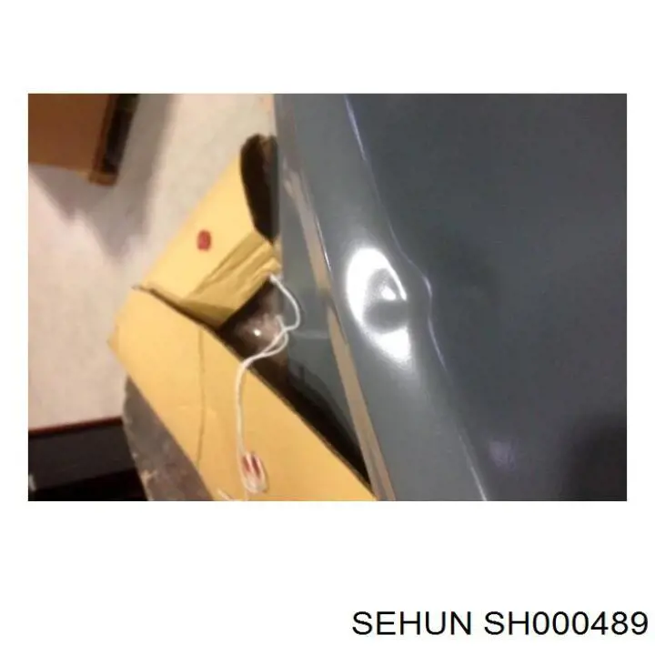 SH000489 Sehun крышка багажника
