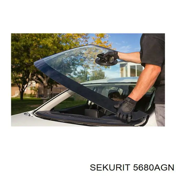 Compre GS4812D12 FPS Pára-brisas