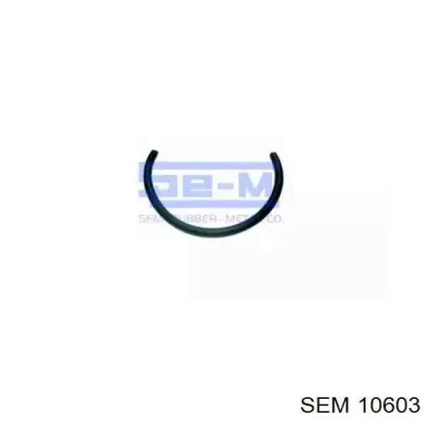  10603 SEM